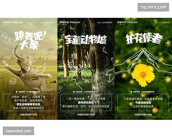 新一期体育赛事运营报告聚焦绿色办赛与可持续发展路径 新一期体育赛事运营报告聚焦绿色办赛与可持续发展路径